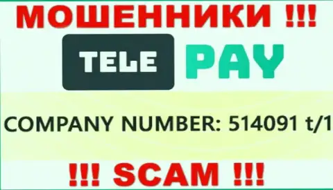 Регистрационный номер ТелеПэй, который показан мошенниками у них на ресурсе: 514091 t/1