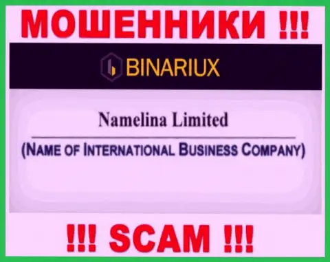 Namelina Limited - это интернет мошенники, а управляет ими Namelina Limited