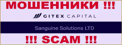 Юридическое лицо GitexCapital Pro - это Sanguine Solutions LTD, такую инфу предоставили ворюги на своем онлайн-ресурсе