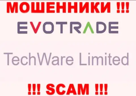Юридическим лицом ЭвоТрейд Ком является - TechWare Limited