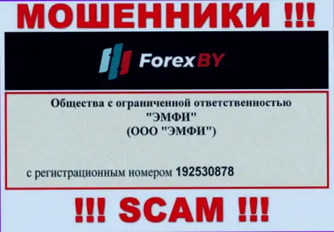 На интернет-сервисе обманщиков Forex BY предоставлен именно этот номер регистрации данной организации: 192530878