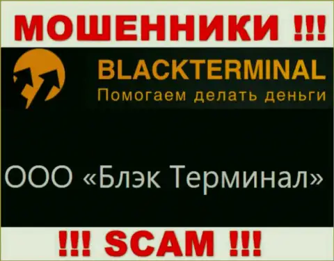 На портале Black Terminal написано, что юридическое лицо организации - ООО Блэк Терминал