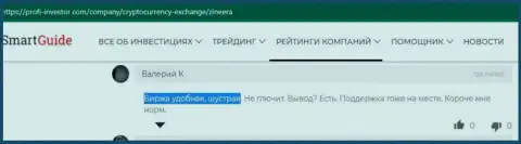 Служба технической поддержки у брокерской организации Zinnera хорошая, отклик игрока на портале Profi Investor Com