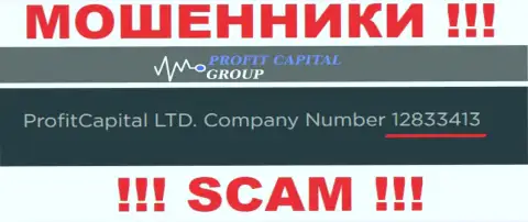 Регистрационный номер Profit Capital Group, который показан аферистами на их информационном сервисе: 12833413