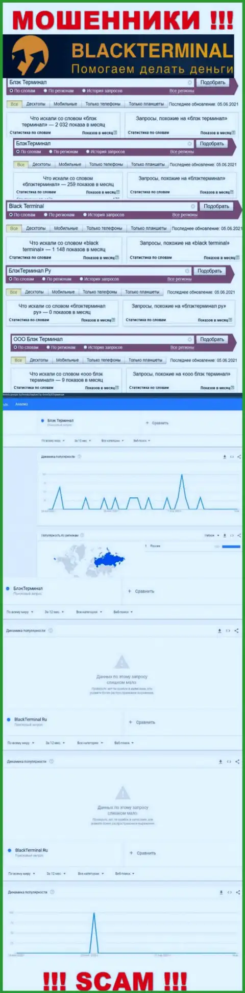 Число онлайн запросов сведений о мошенниках BlackTerminal Ru во всемирной паутине
