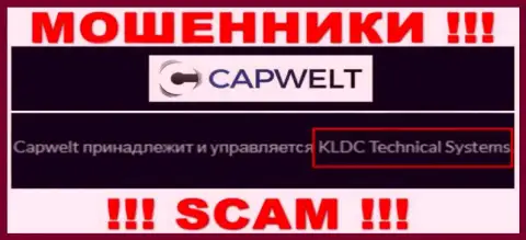 Юр лицо организации CapWelt - это КЛДЦ Техникал Системс, информация взята с официального сайта