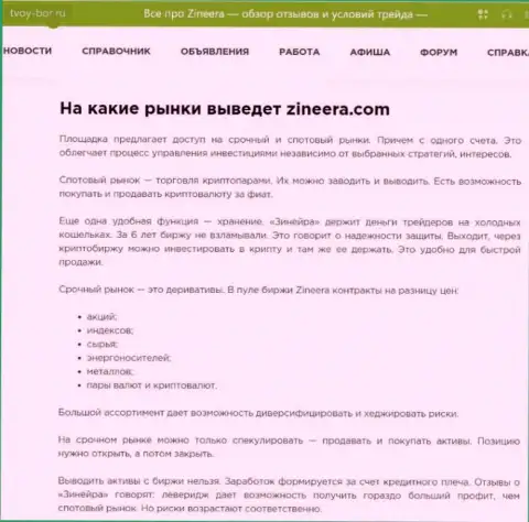 Инструменты для спекулирования, предоставляемые брокерской компанией Зиннейра Ком в материале на web-ресурсе Твой-Бор Ру