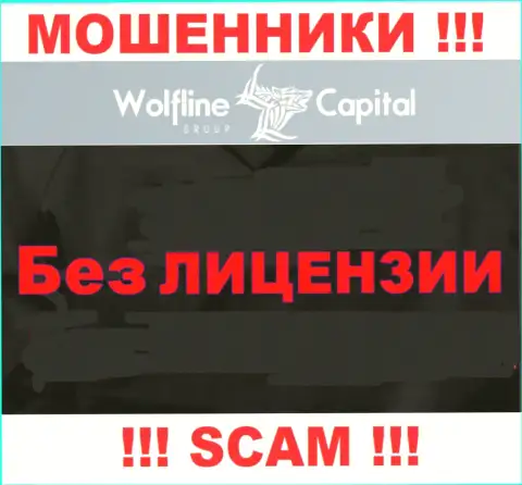 Нереально найти сведения о лицензии мошенников Wolfline Capital - ее просто нет !!!