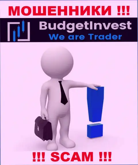 BudgetInvest Org - это мошенники !!! Не говорят, кто именно ими управляет
