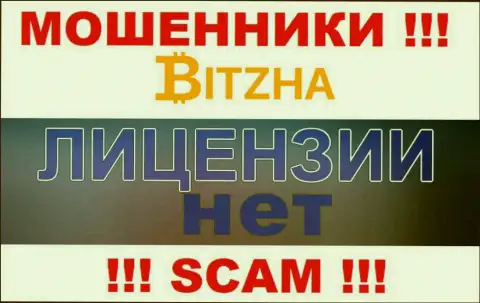 Обманщикам Bitzha24 не дали лицензию на осуществление их деятельности - прикарманивают денежные средства