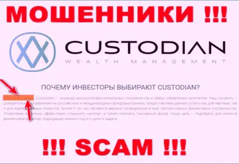 Юридическим лицом, владеющим интернет-ворюгами Custodian, является ООО Кастодиан